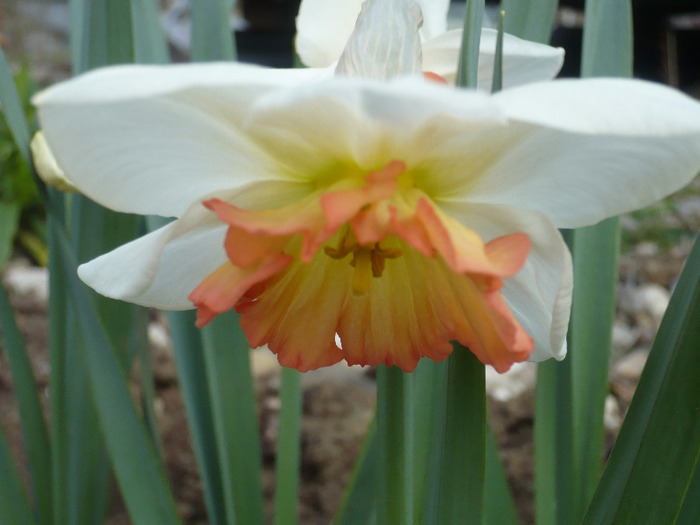 040
