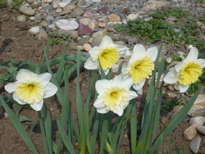041