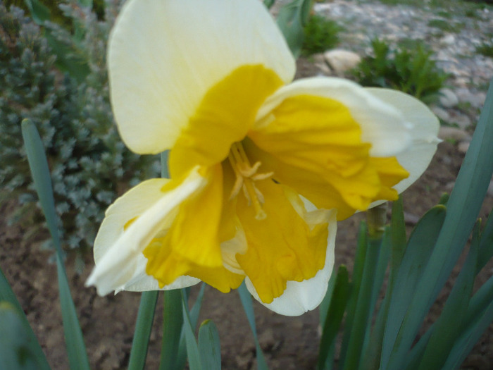 049
