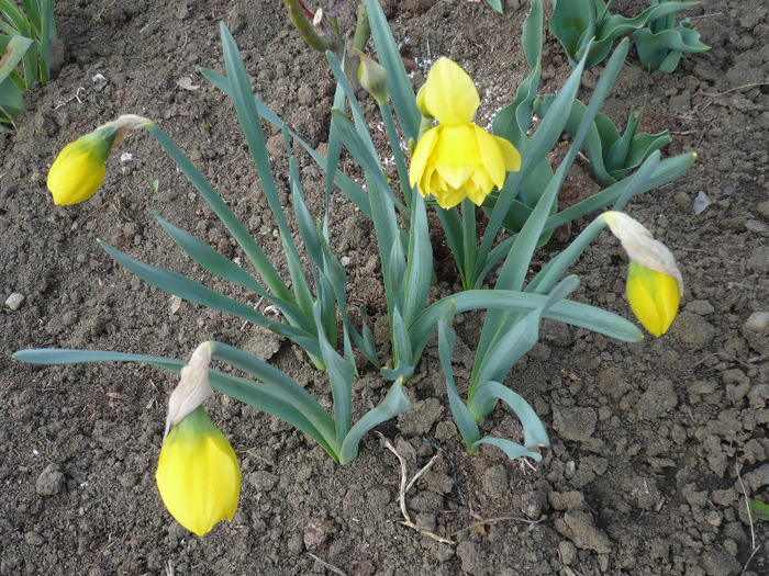 053