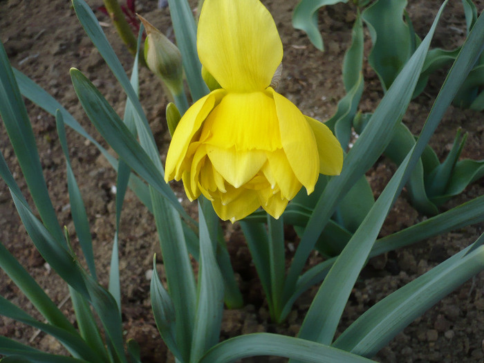 054