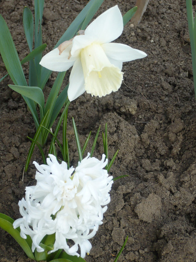 056