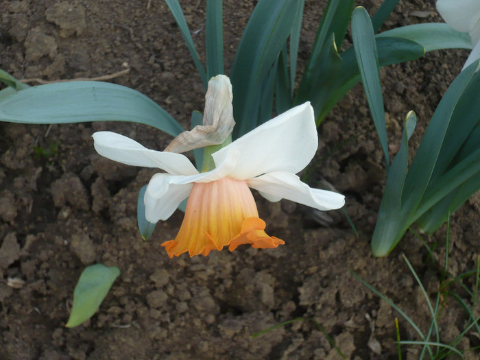 061