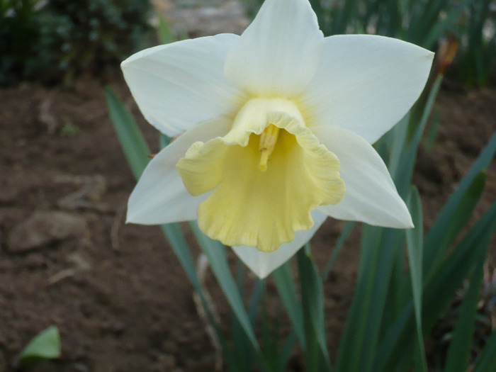 063