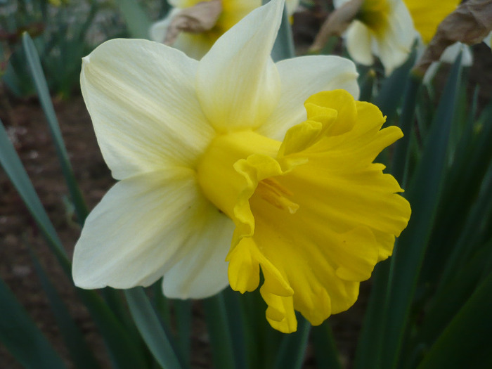 074