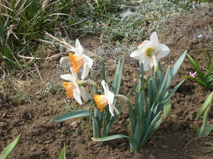 083