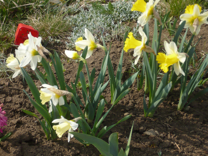 091