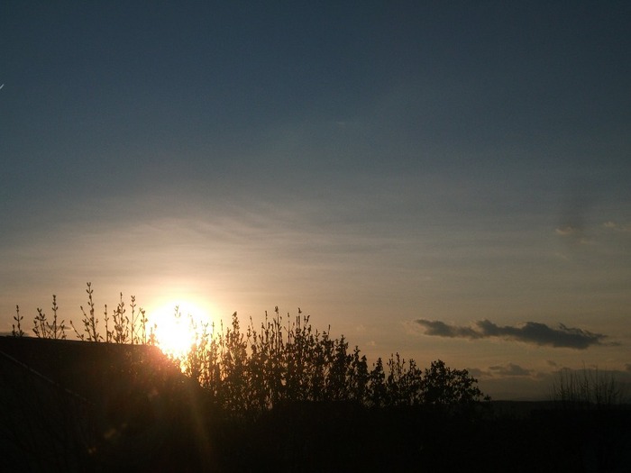 Picture 1204 - Cerul la apus