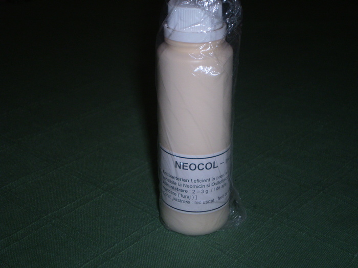 P4030181 - B1-NECESAR
