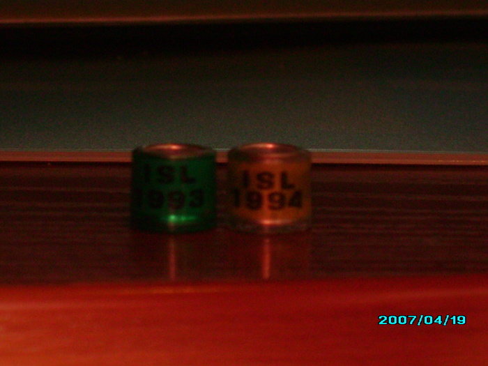 ISLANDA - Colectia de inele - Rings collection