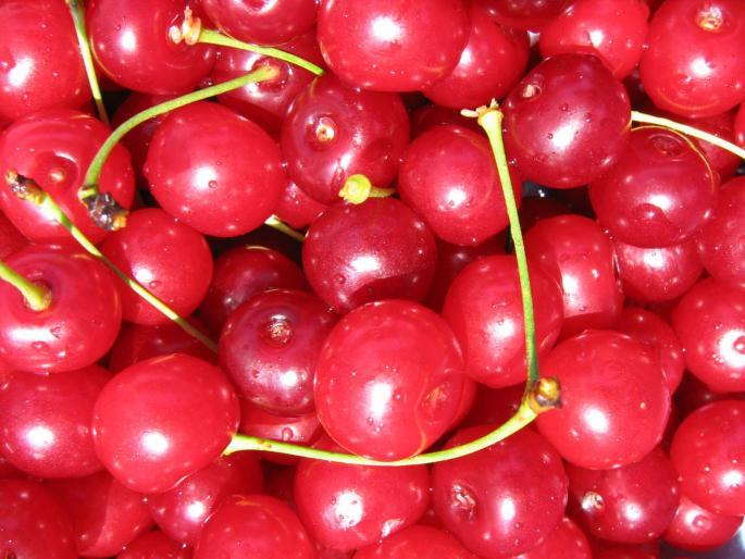 cirise - fructe