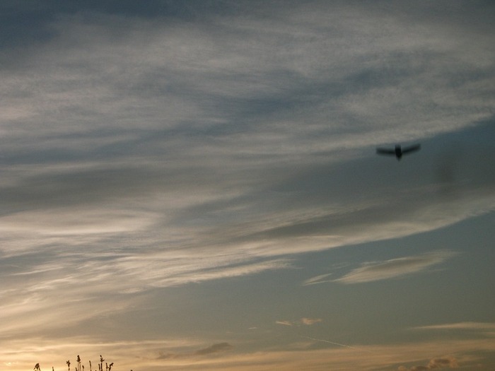 Picture 1264 - Cerul la apus