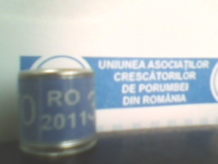 ro 2011 UACPR - inele dubluri