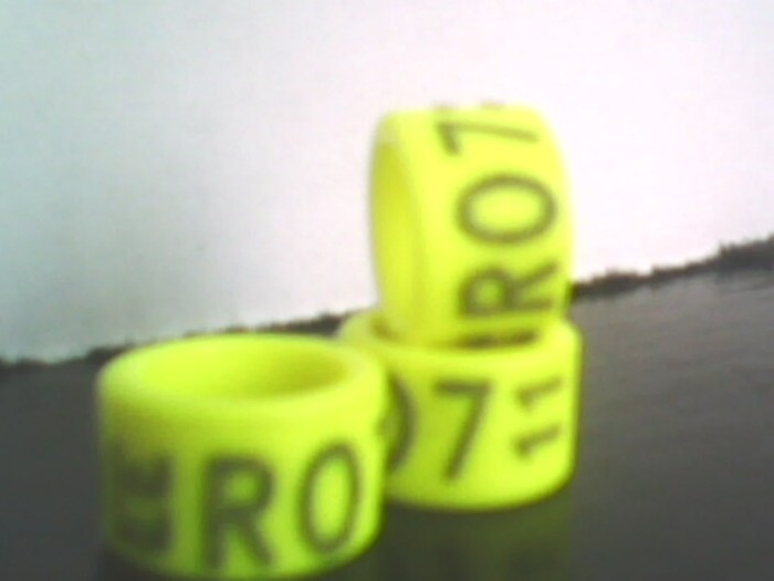 ro 2011 - EE 7