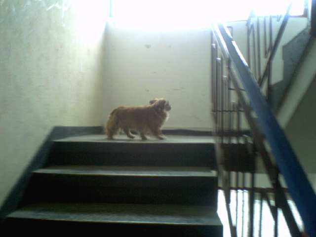 asa, cu doua mai sus