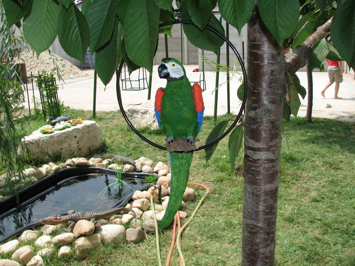 IMG_2533 - papagalul colorat din piatra - iaz 2010