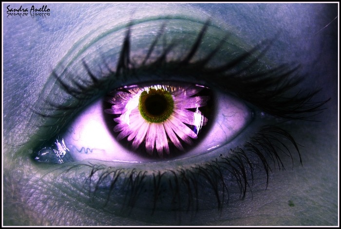 The eye of Elf - Ochi3