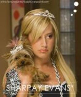 sharpay princess - asley tisdale