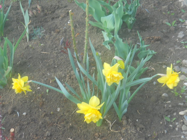075