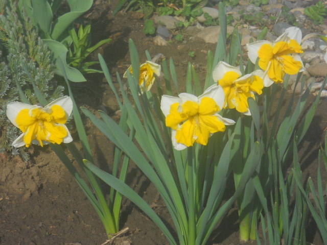 028