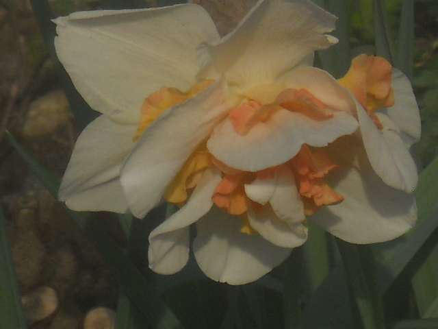 031