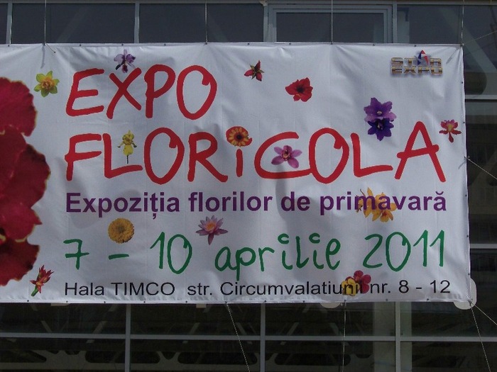 000_2239 - Expo flori Timisoara