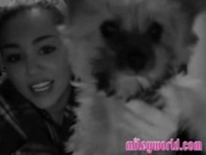 miley si cainele ei nou2 - miley si cainele ei nou-2011