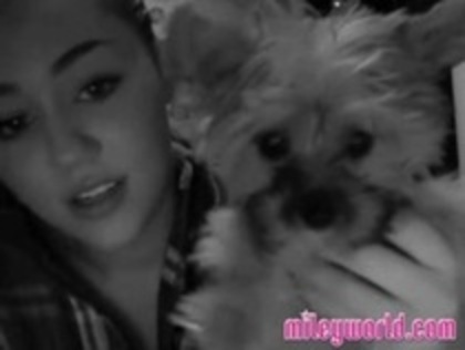 miley si cainele ei nou6 - miley si cainele ei nou-2011