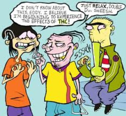 imgres - ED EDD SI EDDY