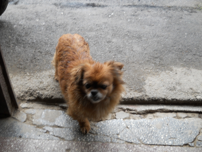 ma lasi in scara?...