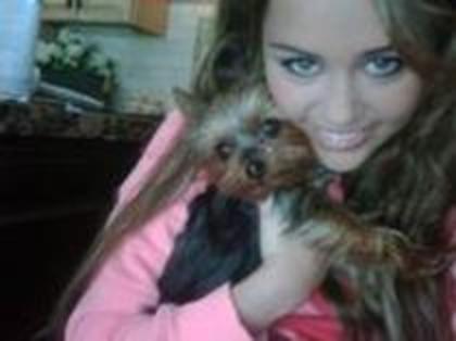 miley_si_cainele_ei - roze rare miley2