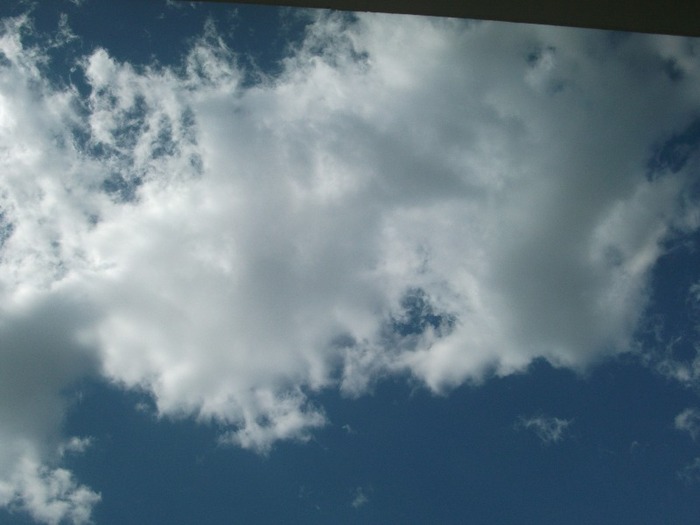 Picture 1313 - Cerul