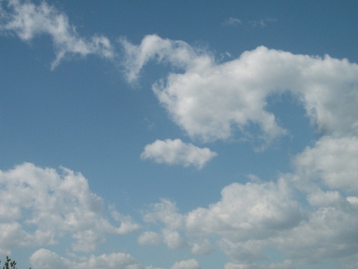 Picture 1315 - Cerul