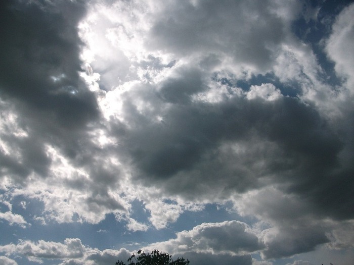 Picture 1379