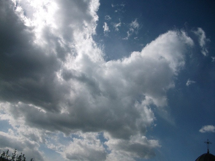 Picture 1387