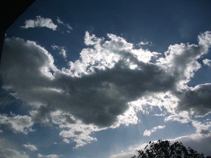 Picture 1428