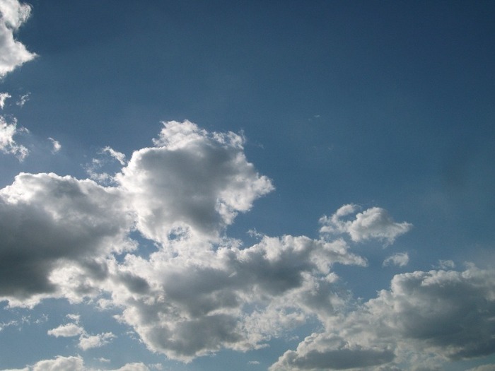 Picture 1429