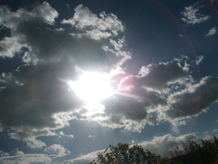 Picture 1433