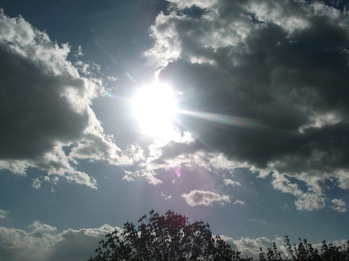 Picture 1447