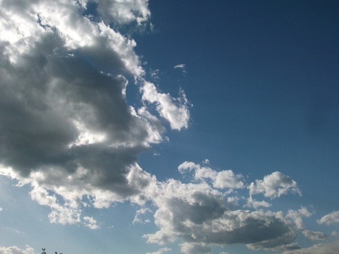 Picture 1449