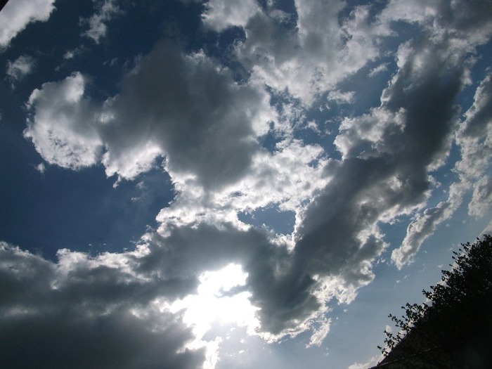 Picture 1463