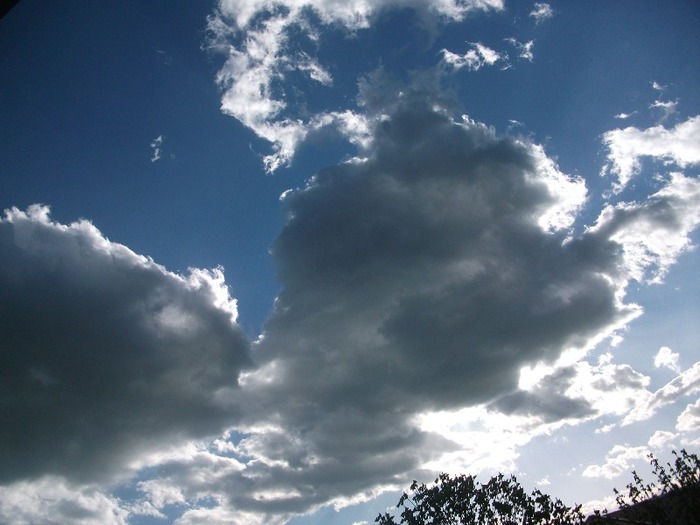 Picture 1469