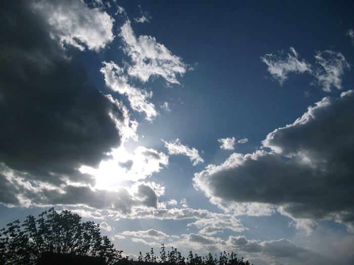 Picture 1472