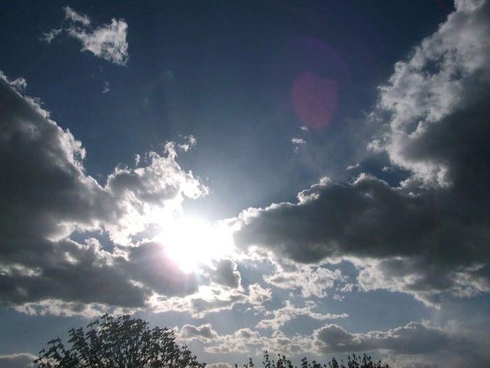 Picture 1473