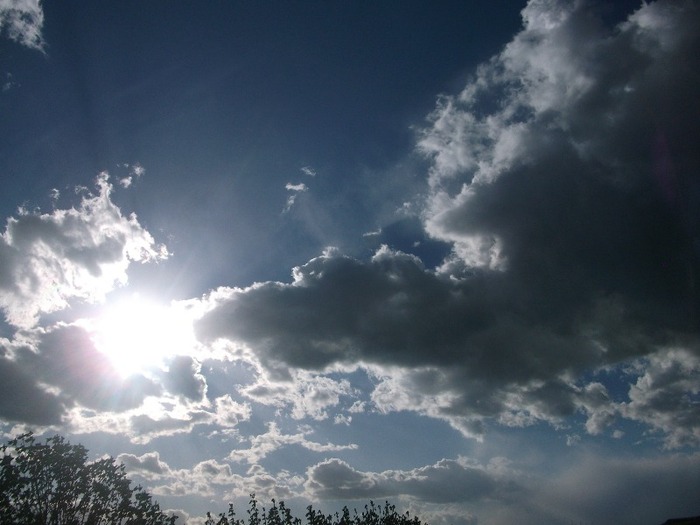 Picture 1474