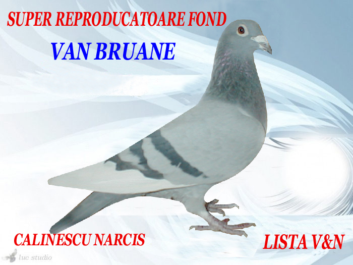 LISTA V&N