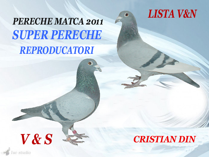 LISTA V&N  SI  V&S - PERECHI MATCA 2011