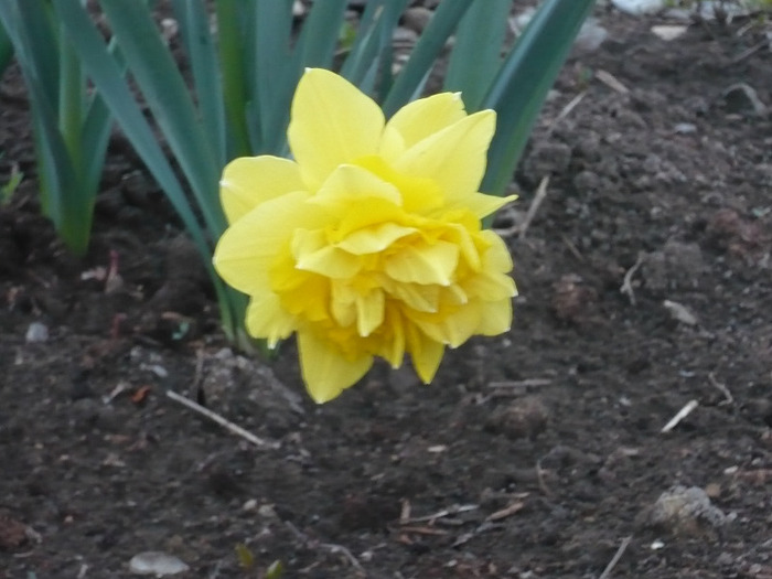 012