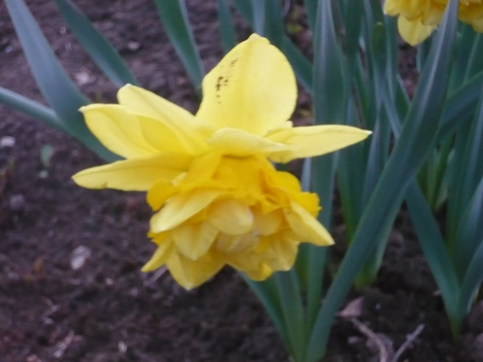 019