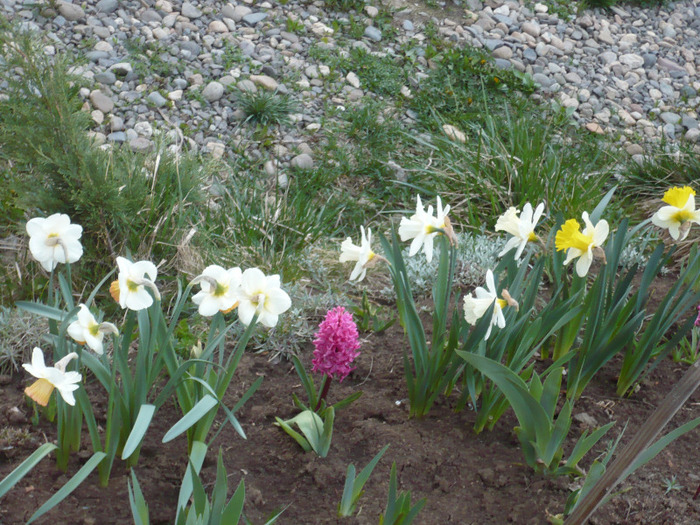 032